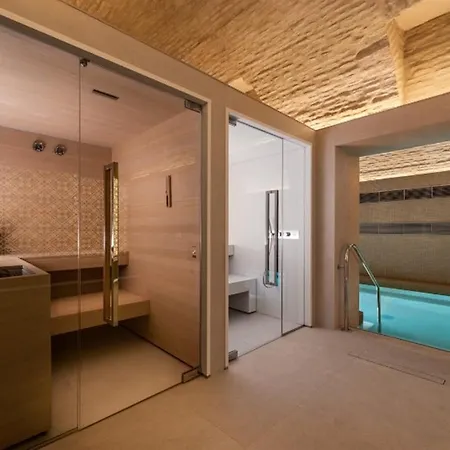 Aurea Casa Palacio Sagasta Hotel 4*
